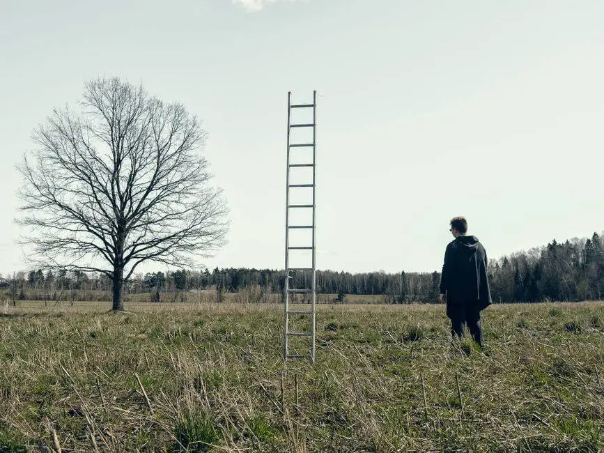 A solitary man stands next to a ladder in a vast countryside with a lone bare tree.
