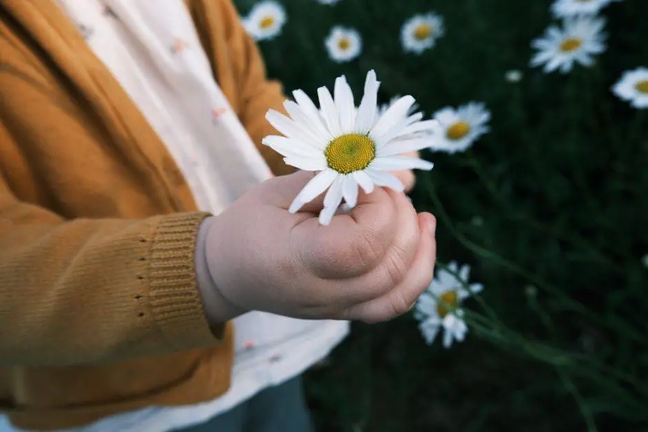 A young child in a mustard sweater gently holds a daisy flower outdoors.
