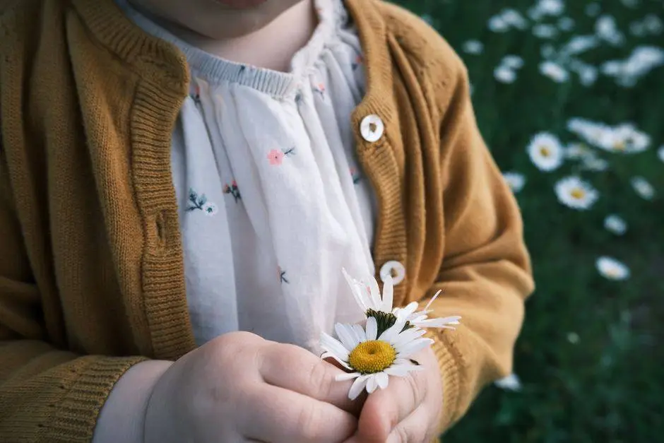 A young child gently holds a daisy flower in a field, symbolizing innocence and nature.