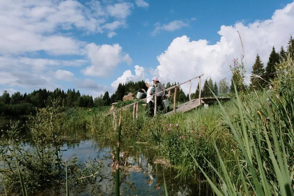 Picturesque rural scene with a bridge over a serene lake surrounded by lush greenery.